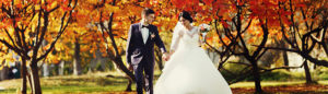 Wedding Insurance for your Fall Wedding